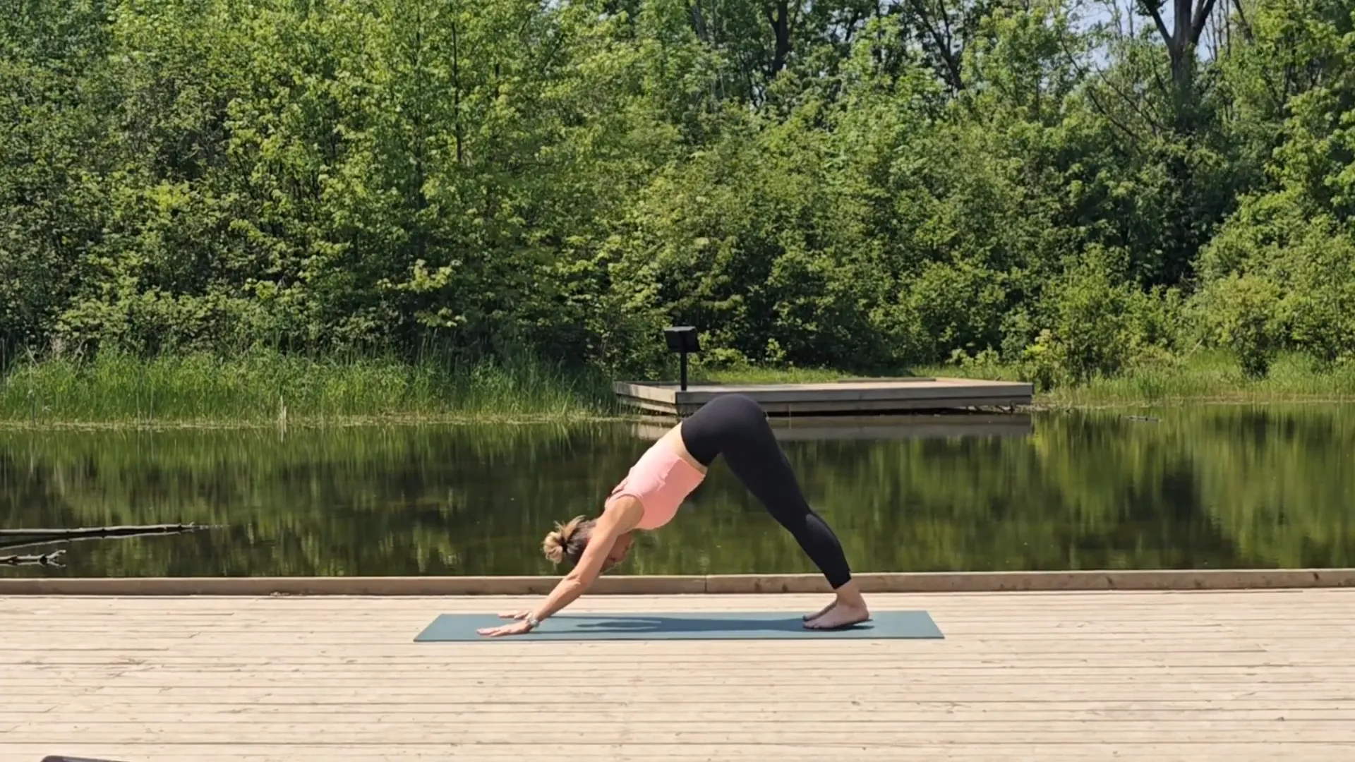 Jen in Downward Dog on an ocean view gazebo